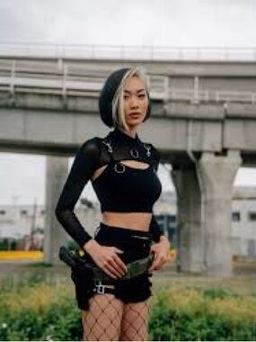 Lycheethelabel mesh crop sleeve top